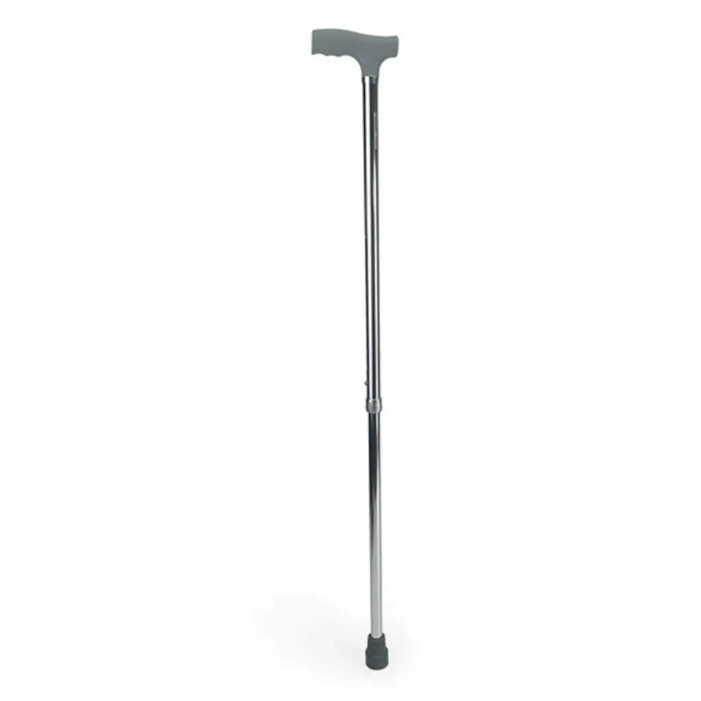 Bastón de Apoyo Blunding